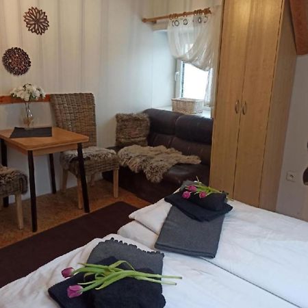 Apartmany Ziakova - Ubytovani Nove Hrady 111 エクステリア 写真