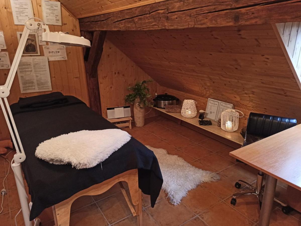 Apartmany Ziakova - Ubytovani Nove Hrady 111 エクステリア 写真