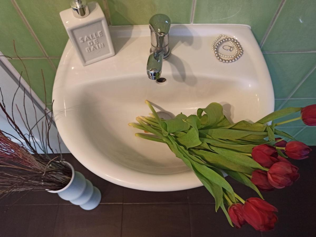 Apartmany Ziakova - Ubytovani Nove Hrady 111 エクステリア 写真