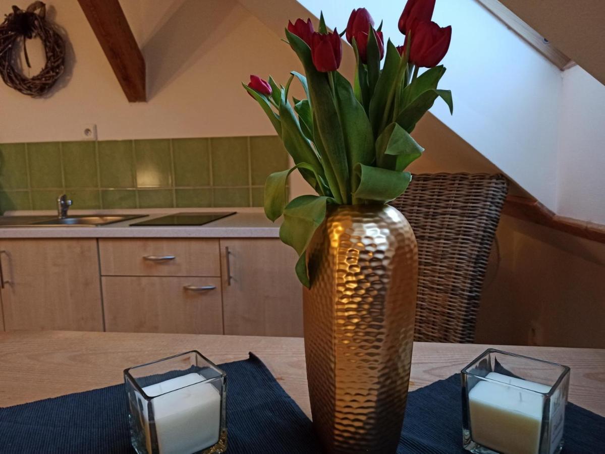 Apartmany Ziakova - Ubytovani Nove Hrady 111 エクステリア 写真