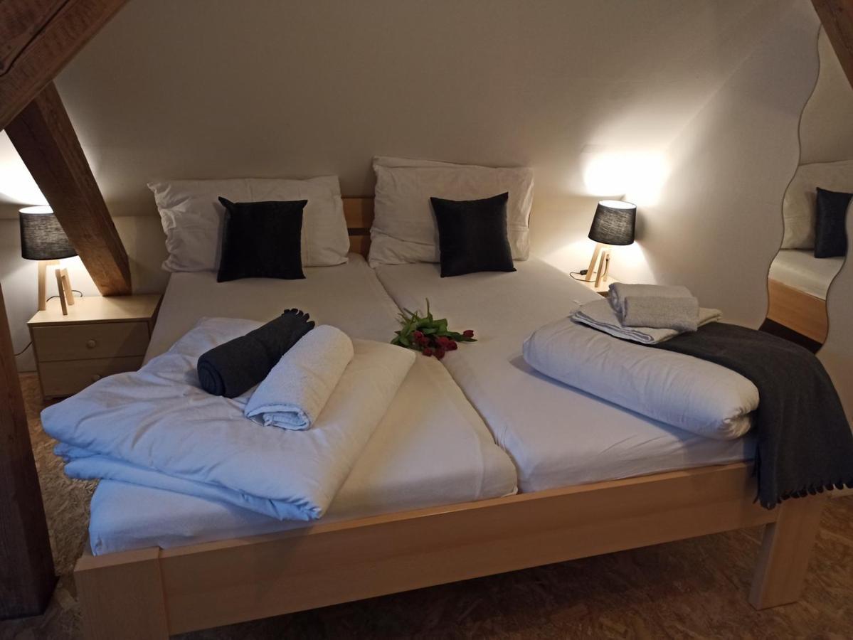 Apartmany Ziakova - Ubytovani Nove Hrady 111 エクステリア 写真