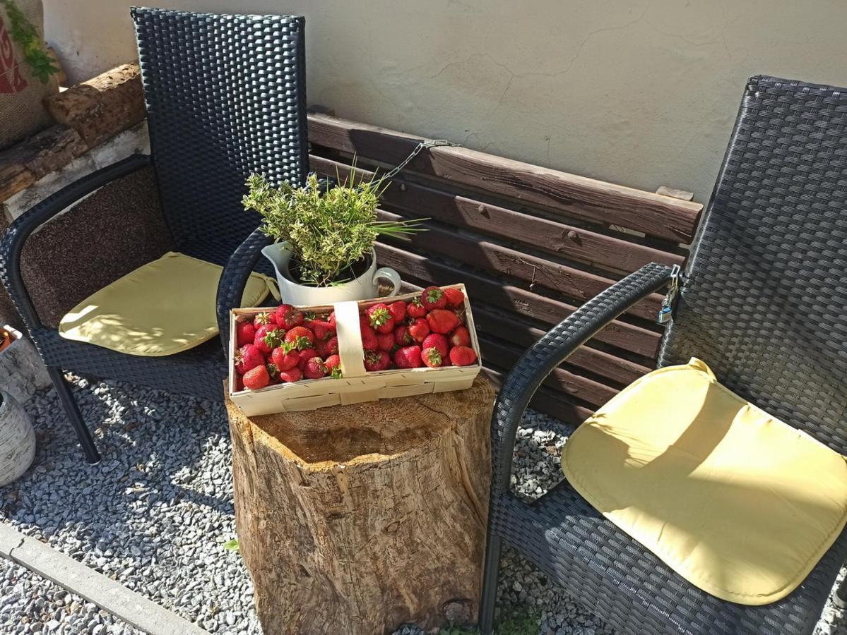 Apartmany Ziakova - Ubytovani Nove Hrady 111 エクステリア 写真