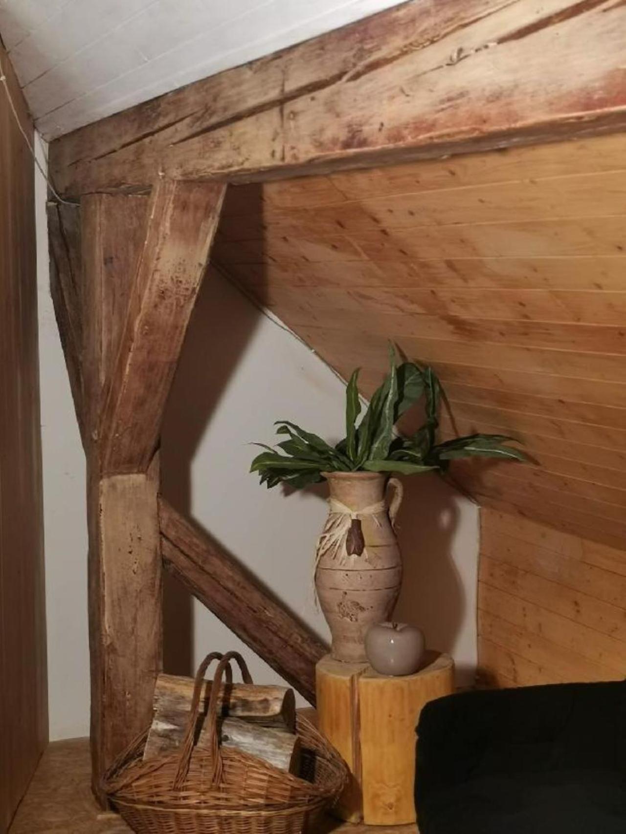 Apartmany Ziakova - Ubytovani Nove Hrady 111 エクステリア 写真
