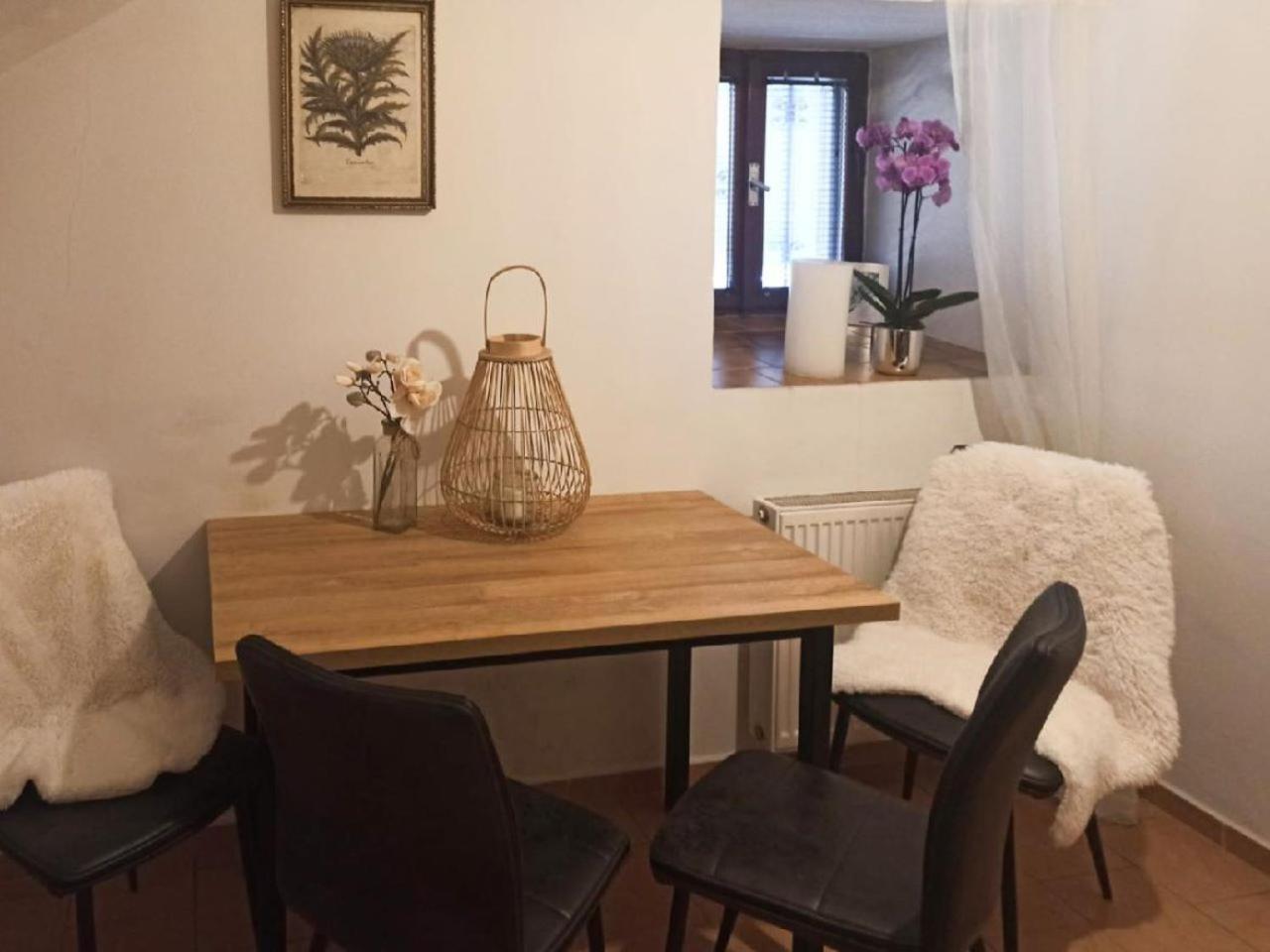 Apartmany Ziakova - Ubytovani Nove Hrady 111 エクステリア 写真