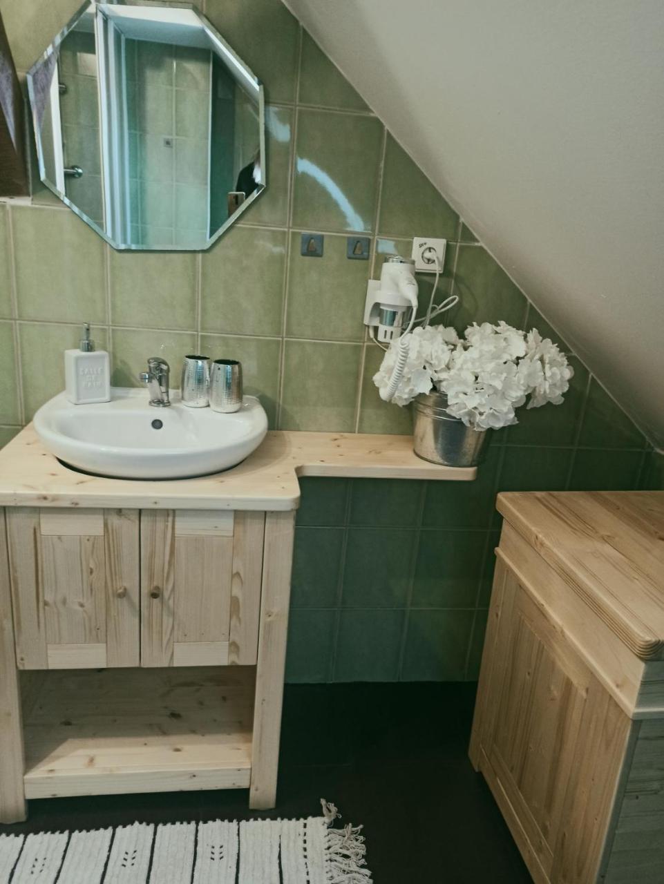 Apartmany Ziakova - Ubytovani Nove Hrady 111 エクステリア 写真