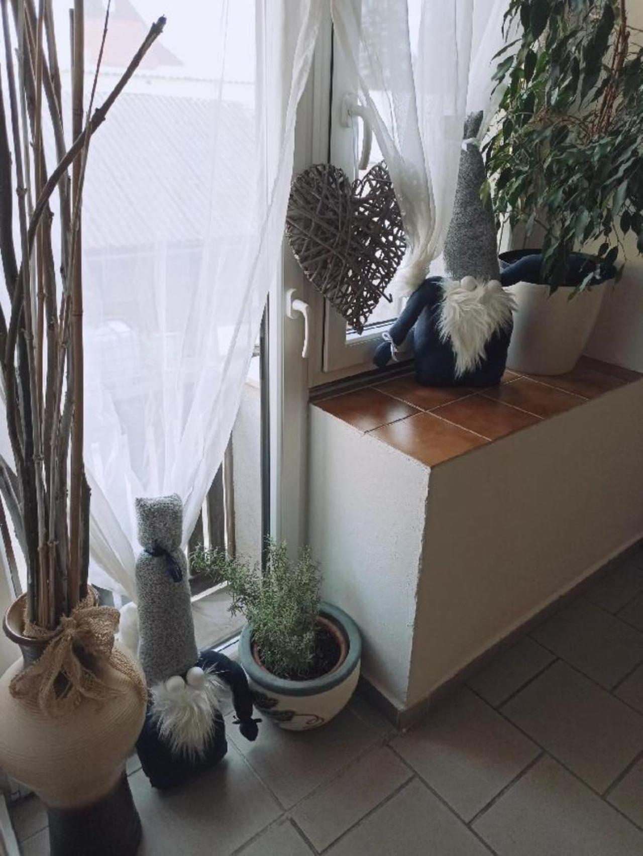 Apartmany Ziakova - Ubytovani Nove Hrady 111 エクステリア 写真